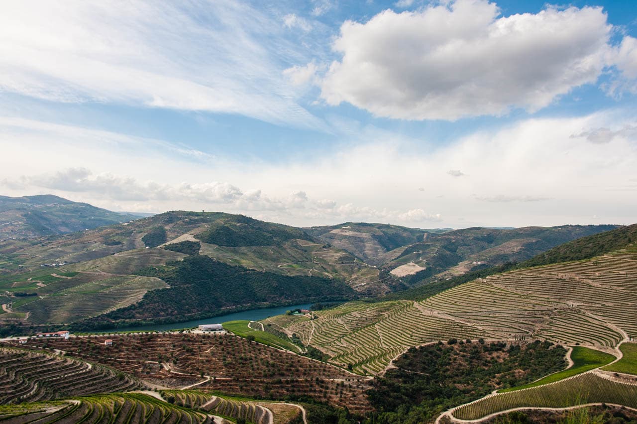 Vinhas em socalcos e rio na zona de Ervedosa do Douro